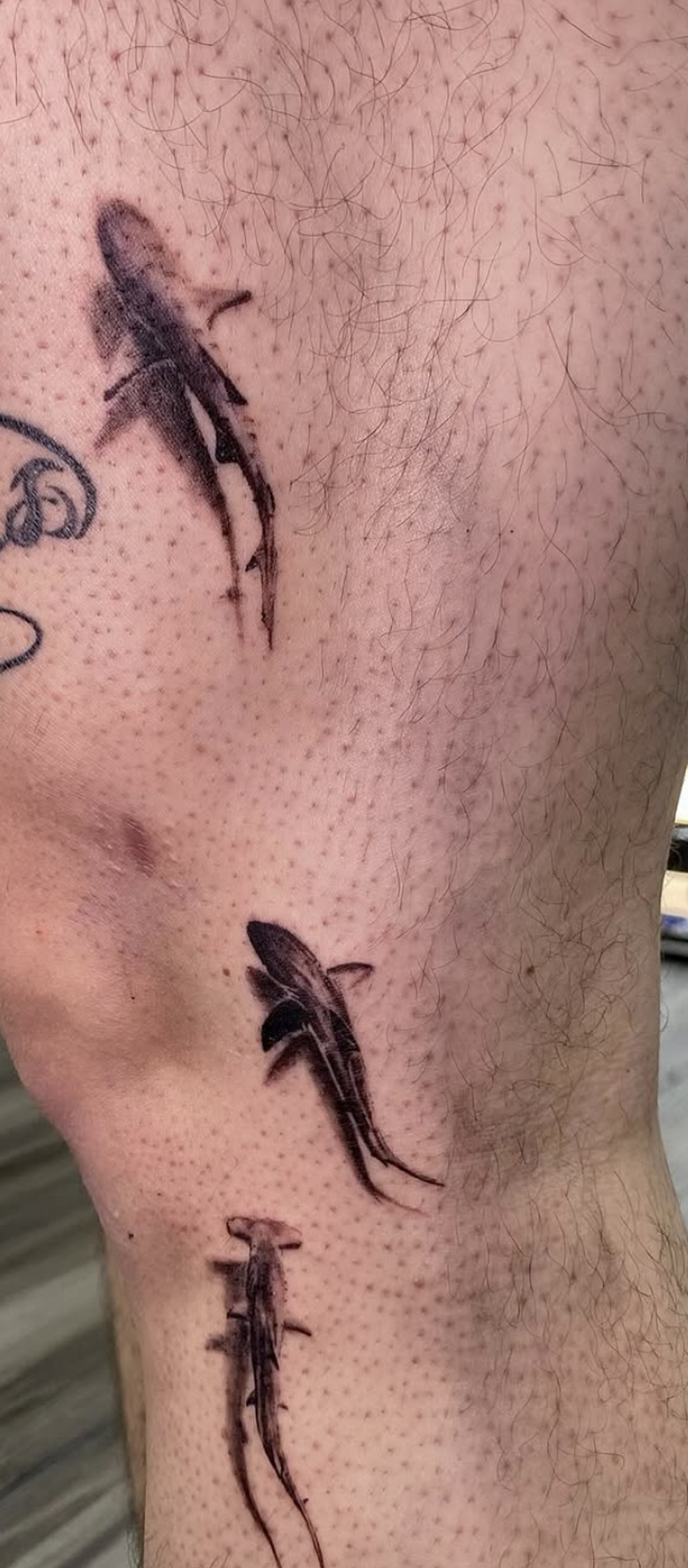 sharks tattoo